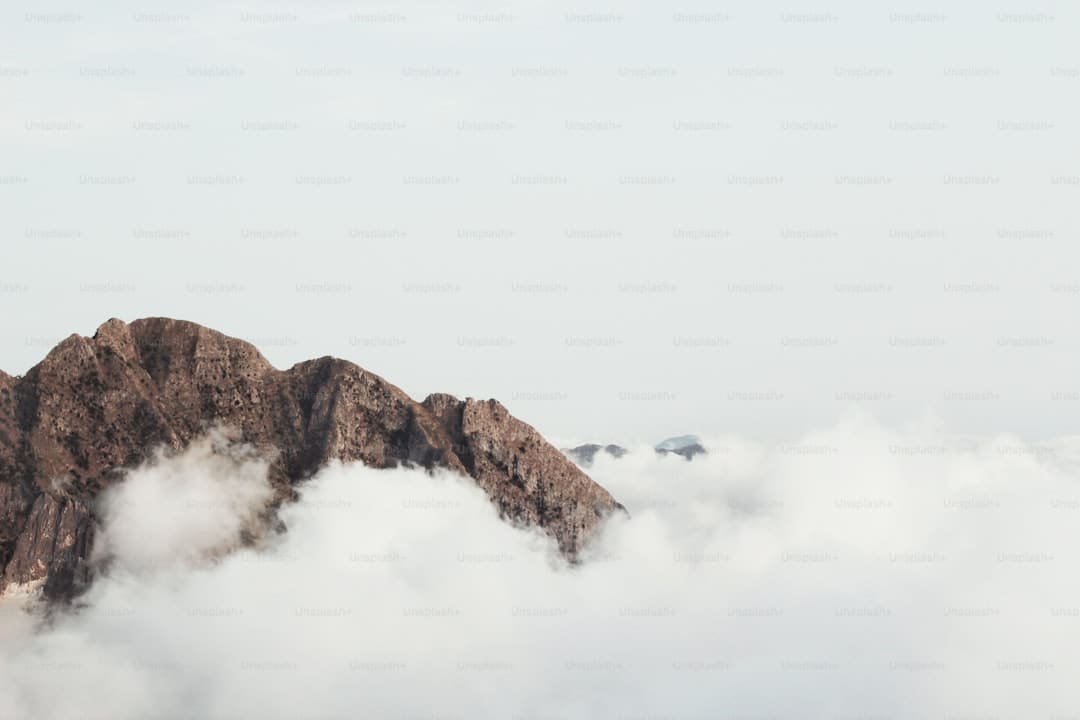 重庆:重生签到迎开学